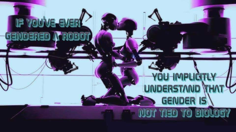 This meme features a screenshot of a character from the video game Portal, with the text "If you've ever gendered a robot" overlaid on the image. The text continues, "You implicitly understand that gender is not tied to biology." The image is a humorous commentary on the idea that even in a sci-fi setting, humans often make assumptions about a robot's gender based on its appearance, despite the fact that gender is not inherently tied to biology.